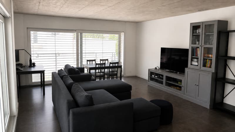 Appartamento moderno di 2,5 locali a Wallisellen (7)