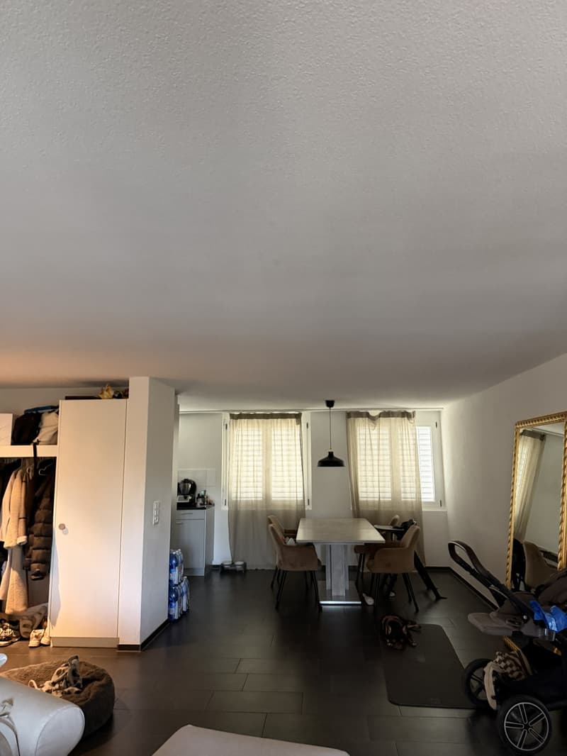 4.5 ZI MAISONETTE- WOHNUNG MIT TIEFGARAGENPLATZ (9)
