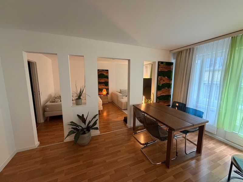 Mobiliertes 6-Monats-Untermietverhältnis im Herzen der Zürcher Altstadt (3)