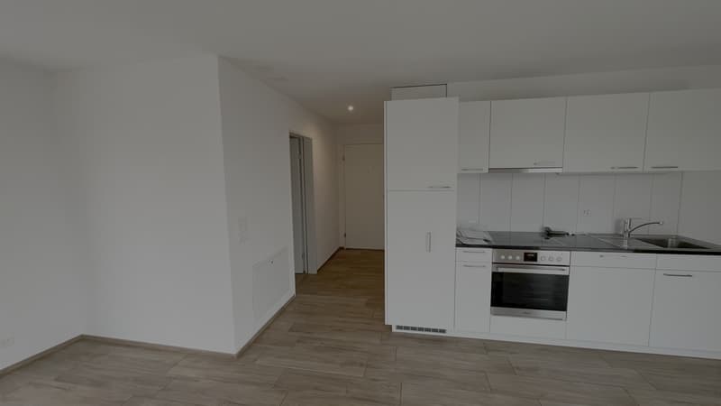 Attikawohnung mit zwei Balkons (2)