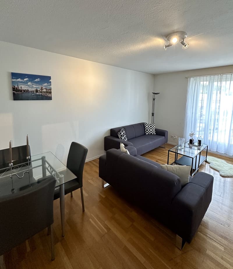 Appartement de 2.5 pièces entièrement meublé à Zurich, tous frais compris (1)