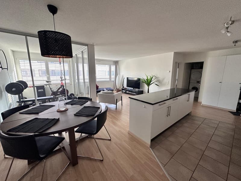 Fully furnished apartment in Zurich (6)