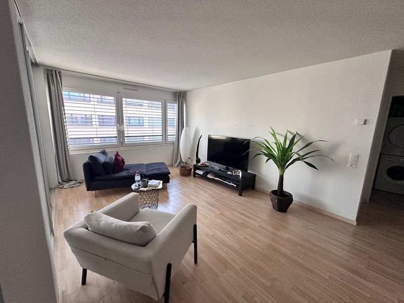 Fully furnished apartment in Zurich (7)