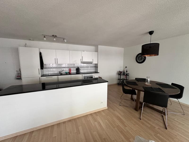 Fully furnished apartment in Zurich (2)