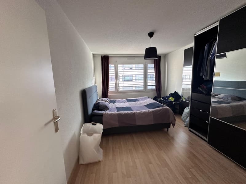 Fully furnished apartment in Zurich (3)