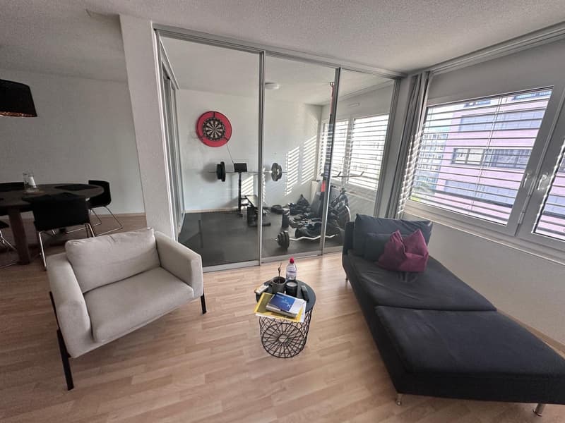 Fully furnished apartment in Zurich (5)
