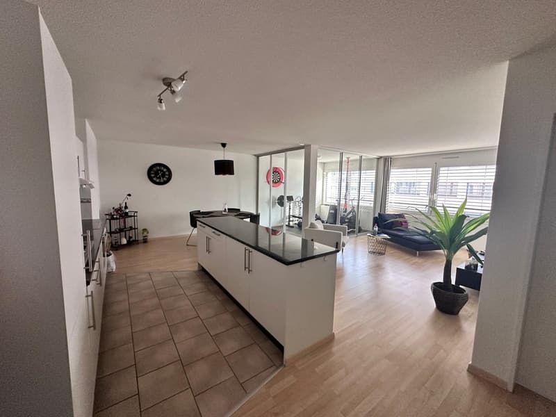 Fully furnished apartment in Zurich (1)