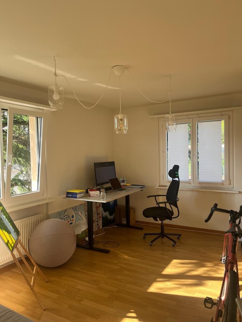 Möblierte 4.5-Zimmer-Wohnung an sonniger Lage in Feldmeilen (4)