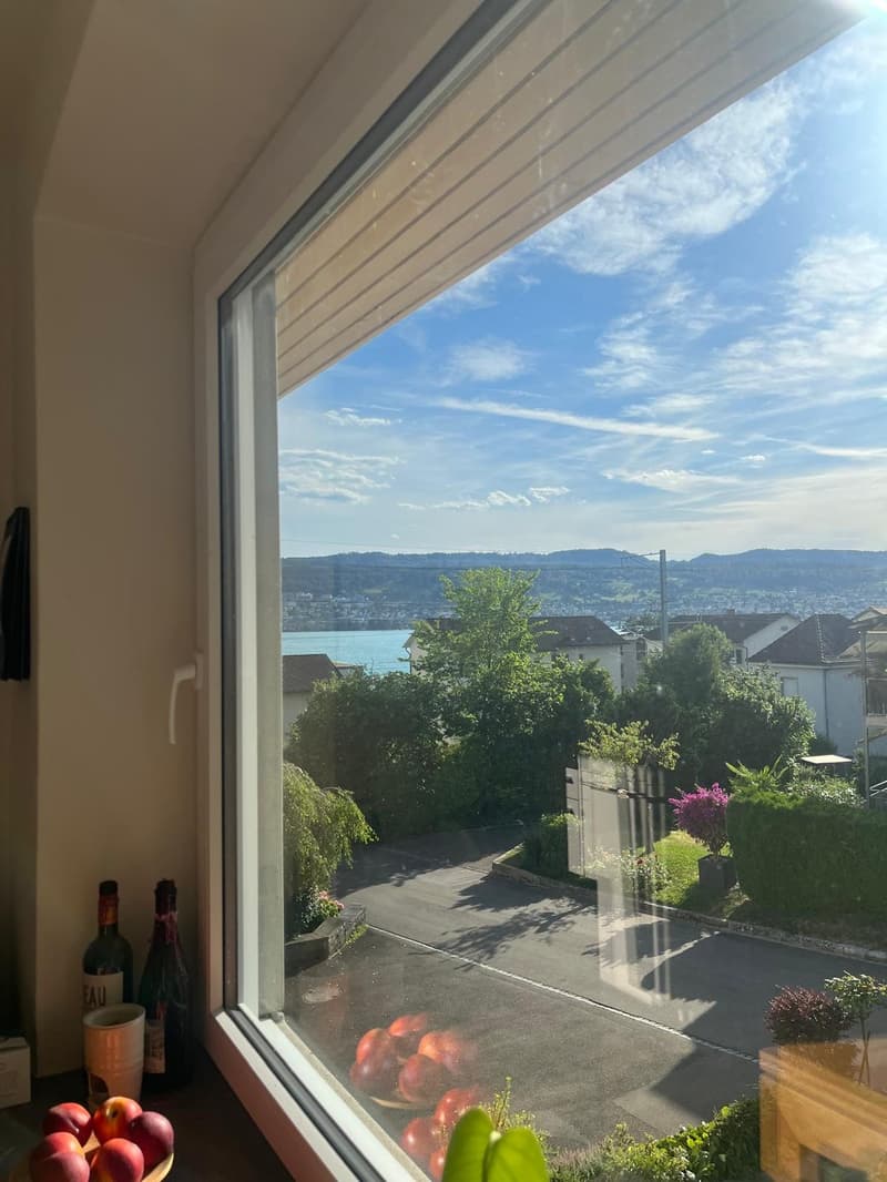 Möblierte 4.5-Zimmer-Wohnung an sonniger Lage in Feldmeilen (11)