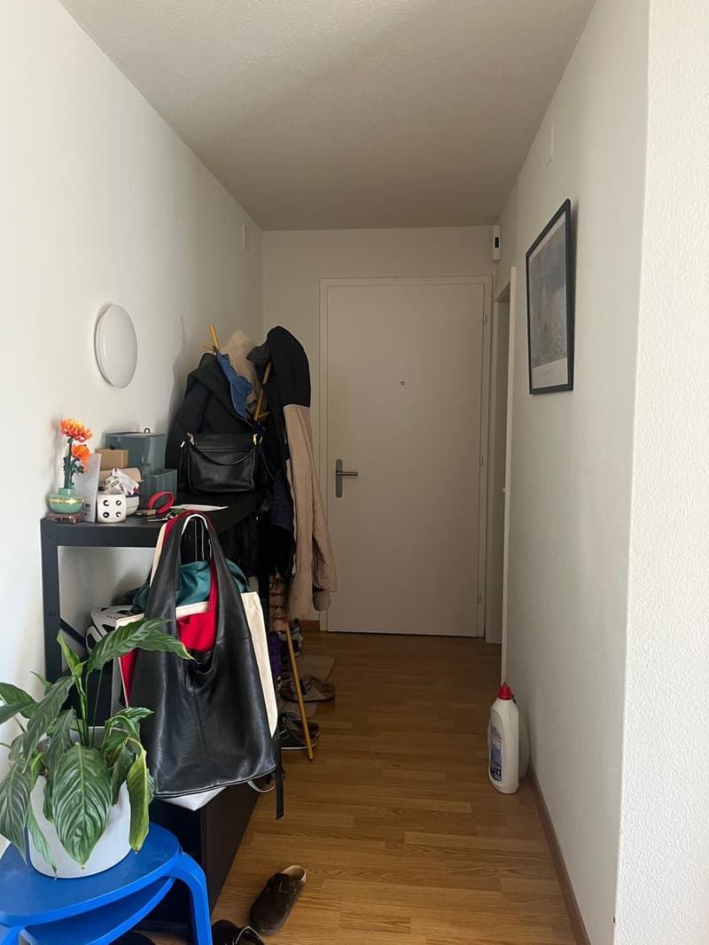 Möblierte 4.5-Zimmer-Wohnung an sonniger Lage in Feldmeilen (6)