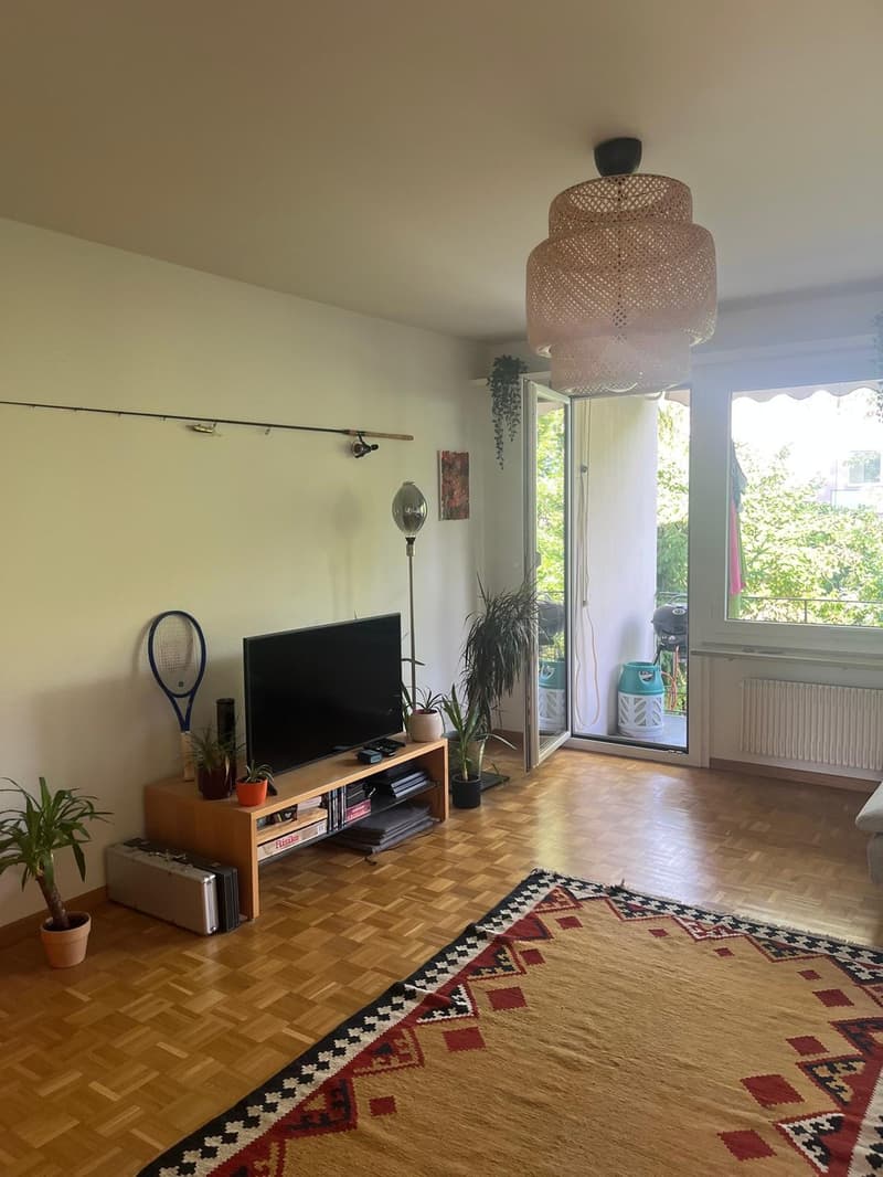 Möblierte 4.5-Zimmer-Wohnung an sonniger Lage in Feldmeilen (7)
