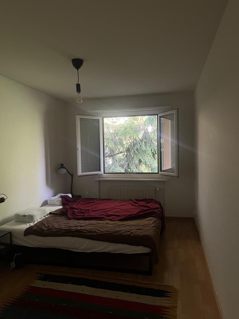 Möblierte 4.5-Zimmer-Wohnung an sonniger Lage in Feldmeilen (9)