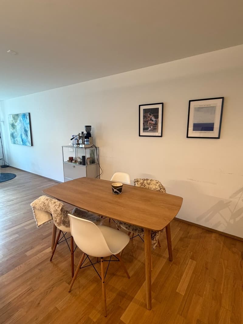 17m2 in spacious, modern apartment with big balcony (4)