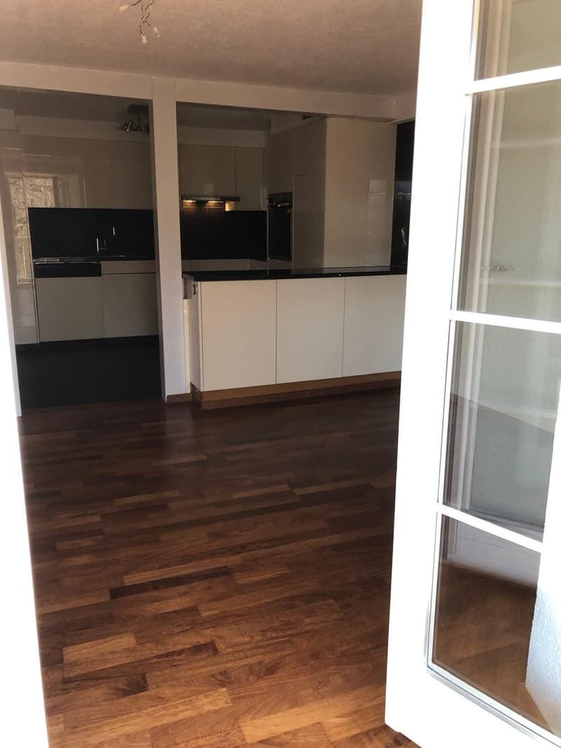 Charmante 5.5 Zimmer Wohnung in der Altstadt Badens zu vermieten (9)