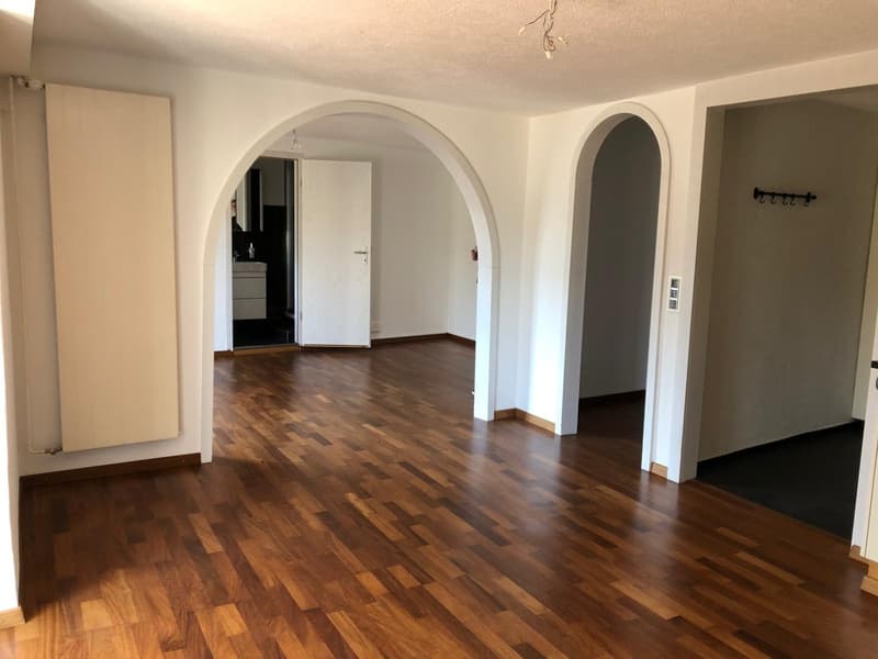 Charmante 5.5 Zimmer Wohnung in der Altstadt Badens zu vermieten (5)