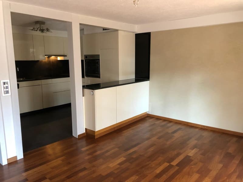 Charmante 5.5 Zimmer Wohnung in der Altstadt Badens zu vermieten (6)