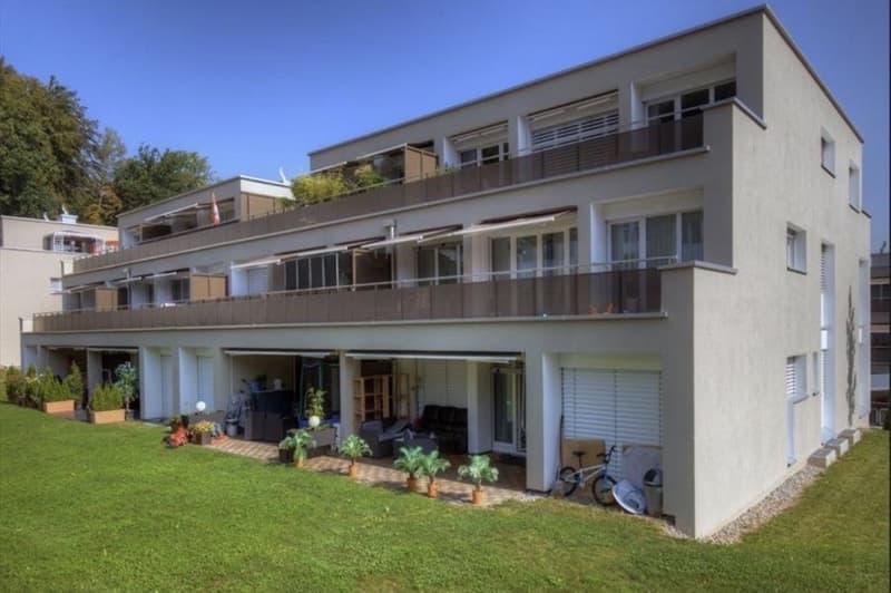 Bright 5.5-room apartment with large garden in Spreitenbach Available immediately or by arrangement (3)