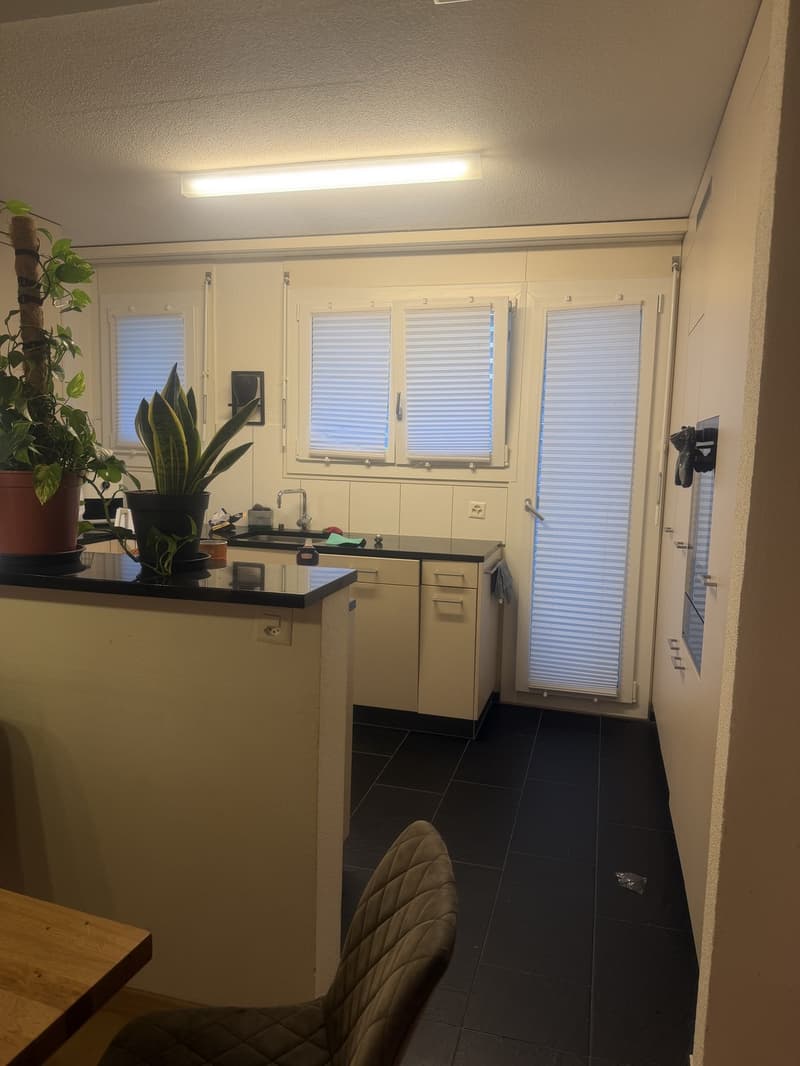 Bright 5.5-room apartment with large garden in Spreitenbach Available immediately or by arrangement (5)