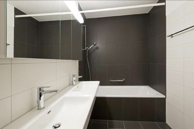 Bright 5.5-room apartment with large garden in Spreitenbach Available immediately or by arrangement (1)