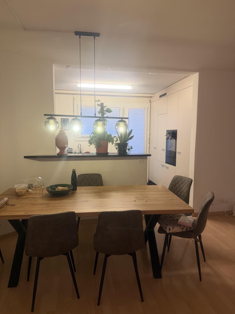Bright 5.5-room apartment with large garden in Spreitenbach Available immediately or by arrangement (7)