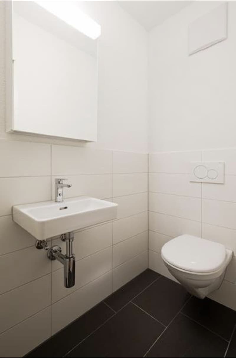 Bright 5.5-room apartment with large garden in Spreitenbach Available immediately or by arrangement (4)