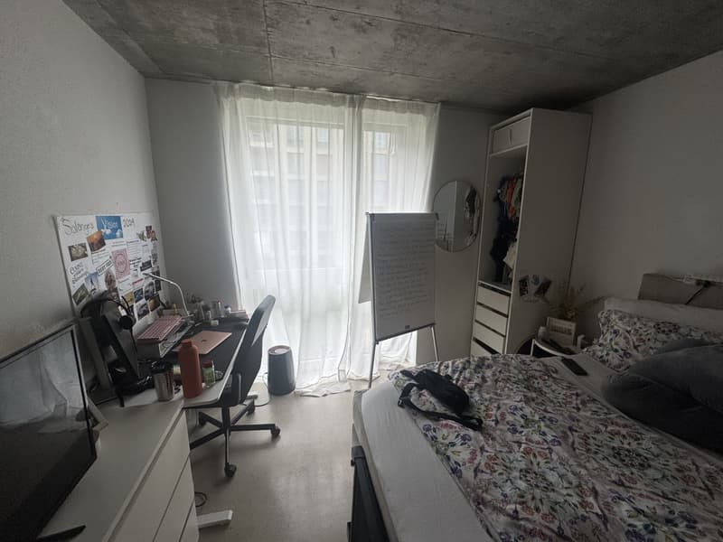 Möblierte 3.5-Zimmer-Wohnung zur Untermiete in Schlieren ab 1. August (8)