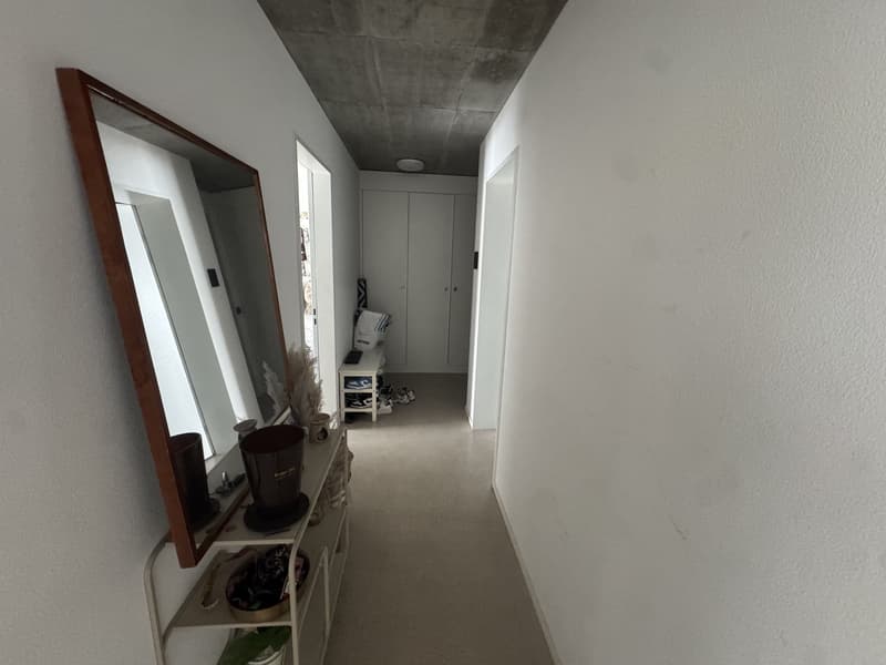 Möblierte 3.5-Zimmer-Wohnung zur Untermiete in Schlieren ab 1. August (7)
