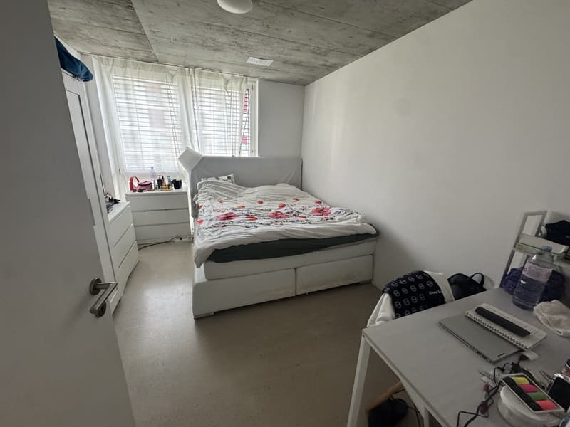 Möblierte 3.5-Zimmer-Wohnung zur Untermiete in Schlieren ab 1. August (6)