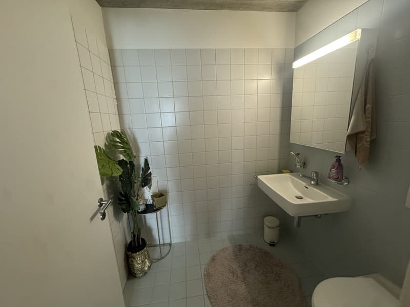Möblierte 3.5-Zimmer-Wohnung zur Untermiete in Schlieren ab 1. August (2)