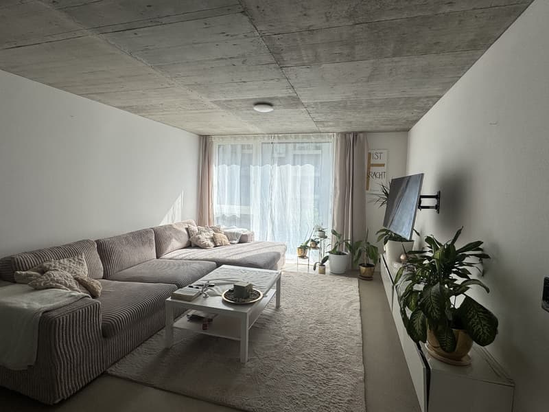 Möblierte 3.5-Zimmer-Wohnung zur Untermiete in Schlieren ab 1. August (4)