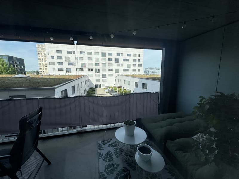Möblierte 3.5-Zimmer-Wohnung zur Untermiete in Schlieren ab 1. August (5)