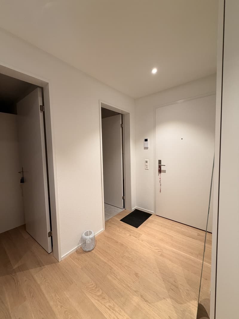 Wunderschöne 2.5 Zimmerwohnung mit grosser Terrasse im Quartier (5)