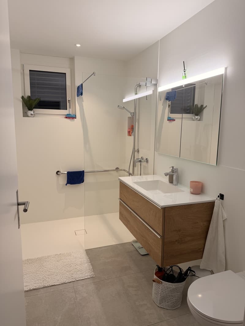 Wunderschöne 2.5 Zimmerwohnung mit grosser Terrasse im Quartier (4)