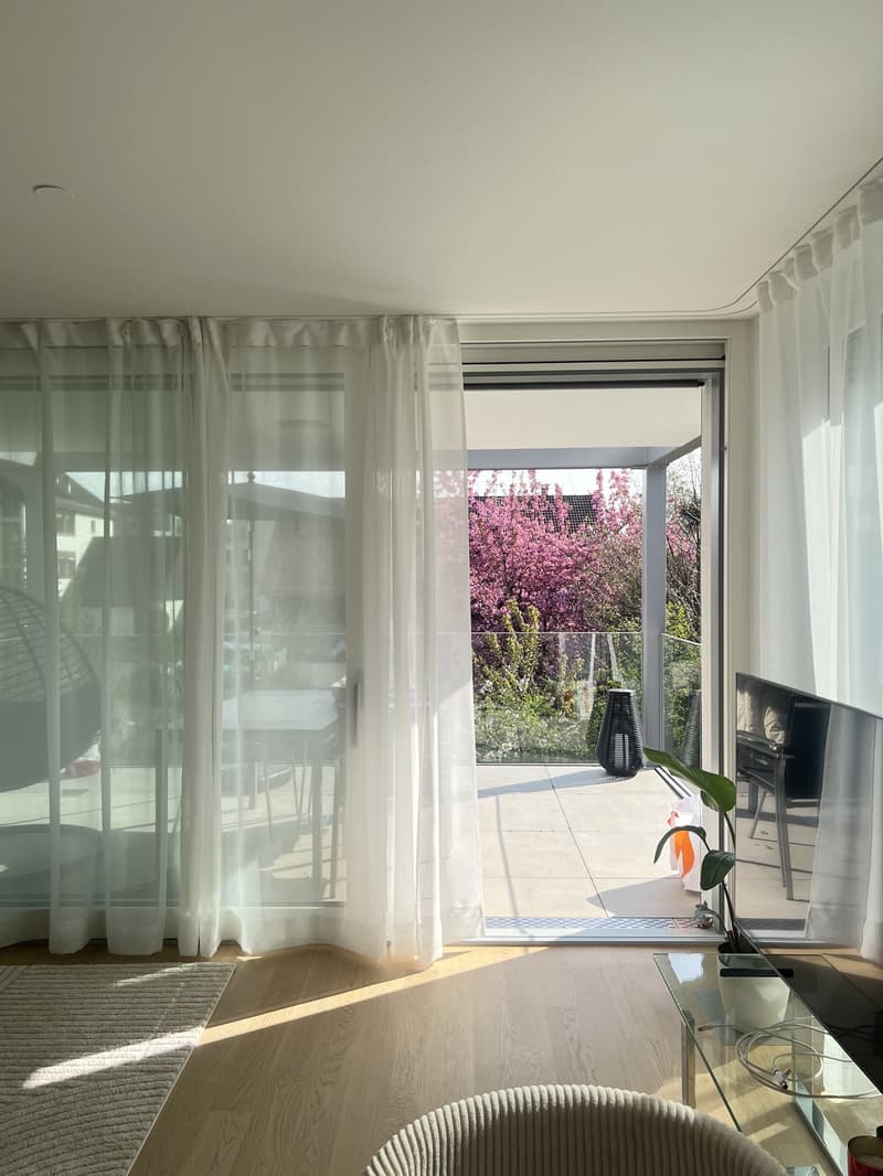 Wunderschöne 2.5 Zimmerwohnung mit grosser Terrasse im Quartier (1)