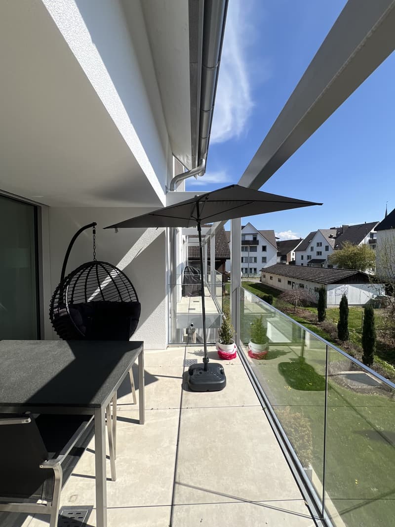Wunderschöne 2.5 Zimmerwohnung mit grosser Terrasse im Quartier (3)