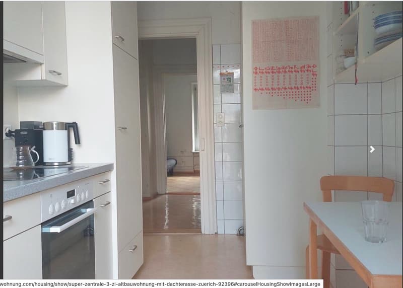 Nachmieter/Untermieter gesucht (Wohnung im Kreis 4 inkl. Dachterasse) (4)