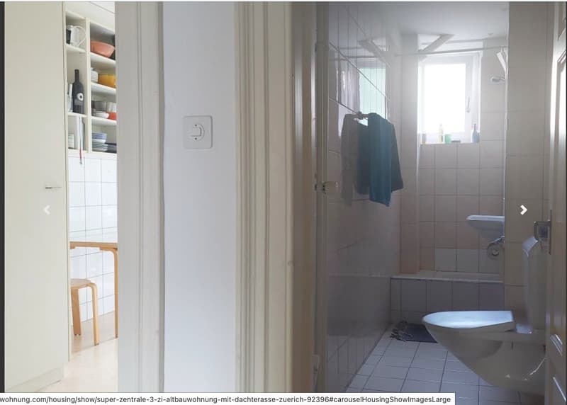 Nachmieter/Untermieter gesucht (Wohnung im Kreis 4 inkl. Dachterasse) (5)