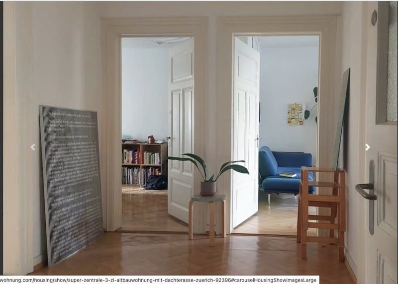 Nachmieter/Untermieter gesucht (Wohnung im Kreis 4 inkl. Dachterasse) (1)