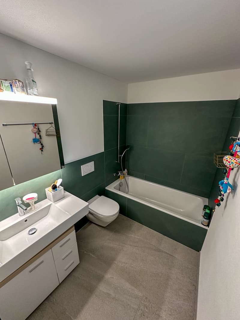 Stilvolle, hochwertig sanierte 4.5-Zimmer-Wohnung in Luzern, voll möbliert für ca. 12 Monate (5)