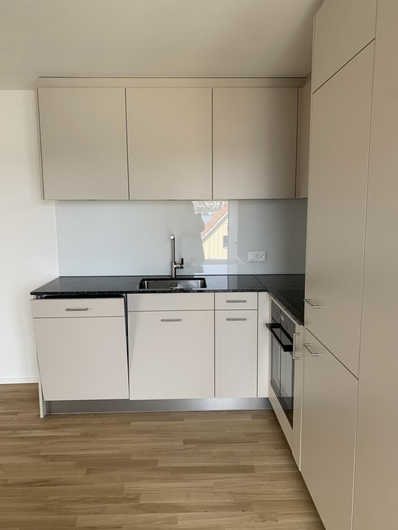 Appartement 1 ½ pièces, 8942 Oberrieden (4)