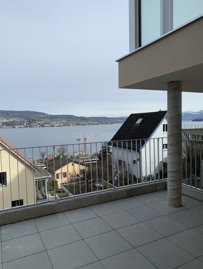 Appartement 1 ½ pièces, 8942 Oberrieden (2)