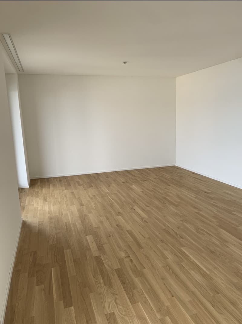 Appartement 1 ½ pièces, 8942 Oberrieden (1)