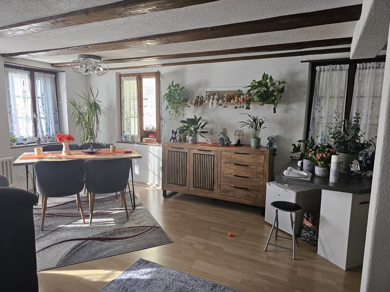 Charming old building apartment (1)