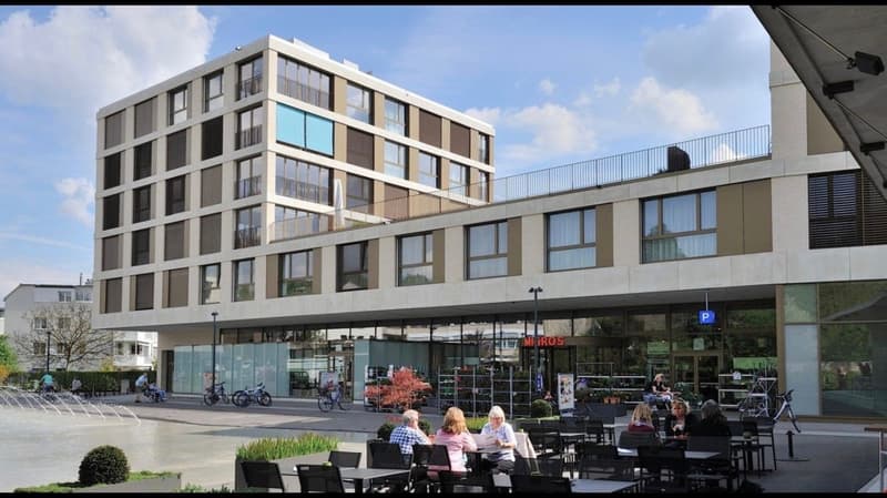 Traumhafte 3.5 Zimmer Wohnung in Bassersdorf an Top Lage mit wunderschönem Ausblick zu vermieten (2)