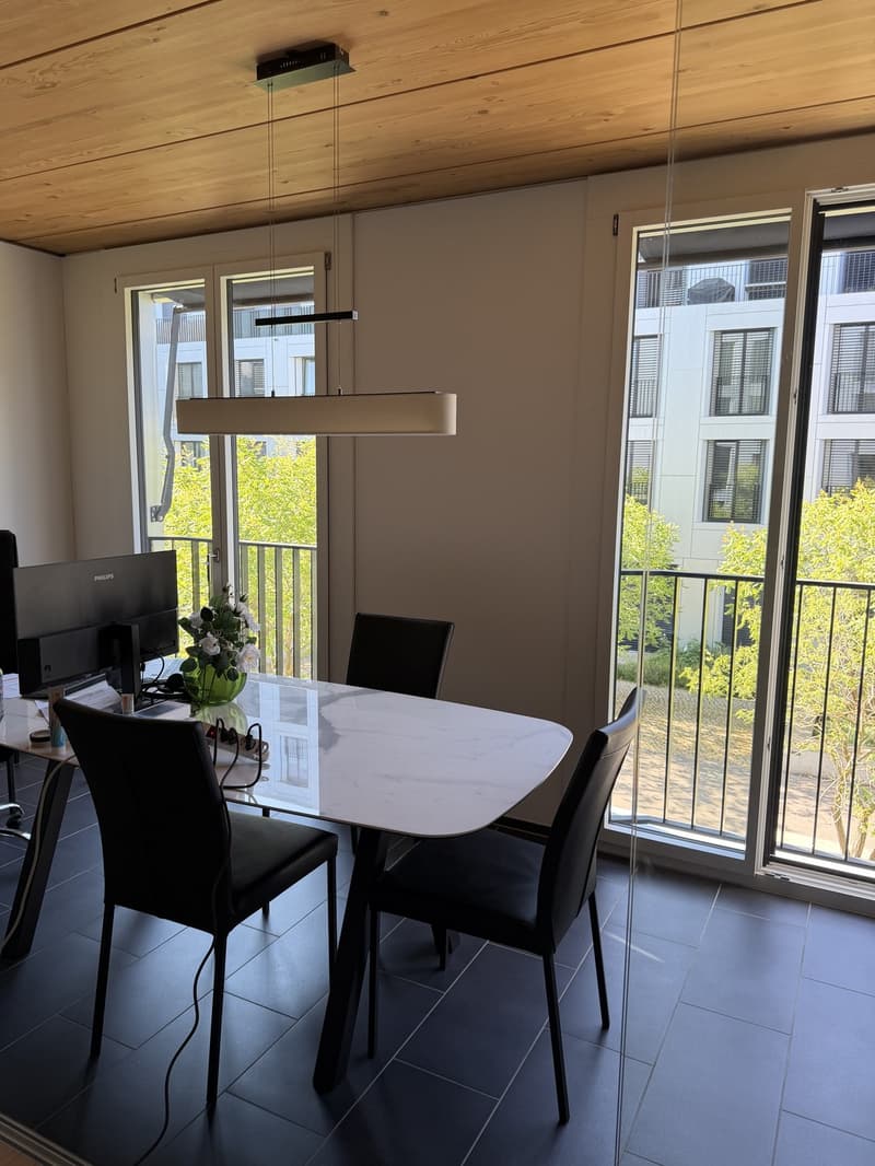 Apartment in Neuhegi - from Sept 1 (10)