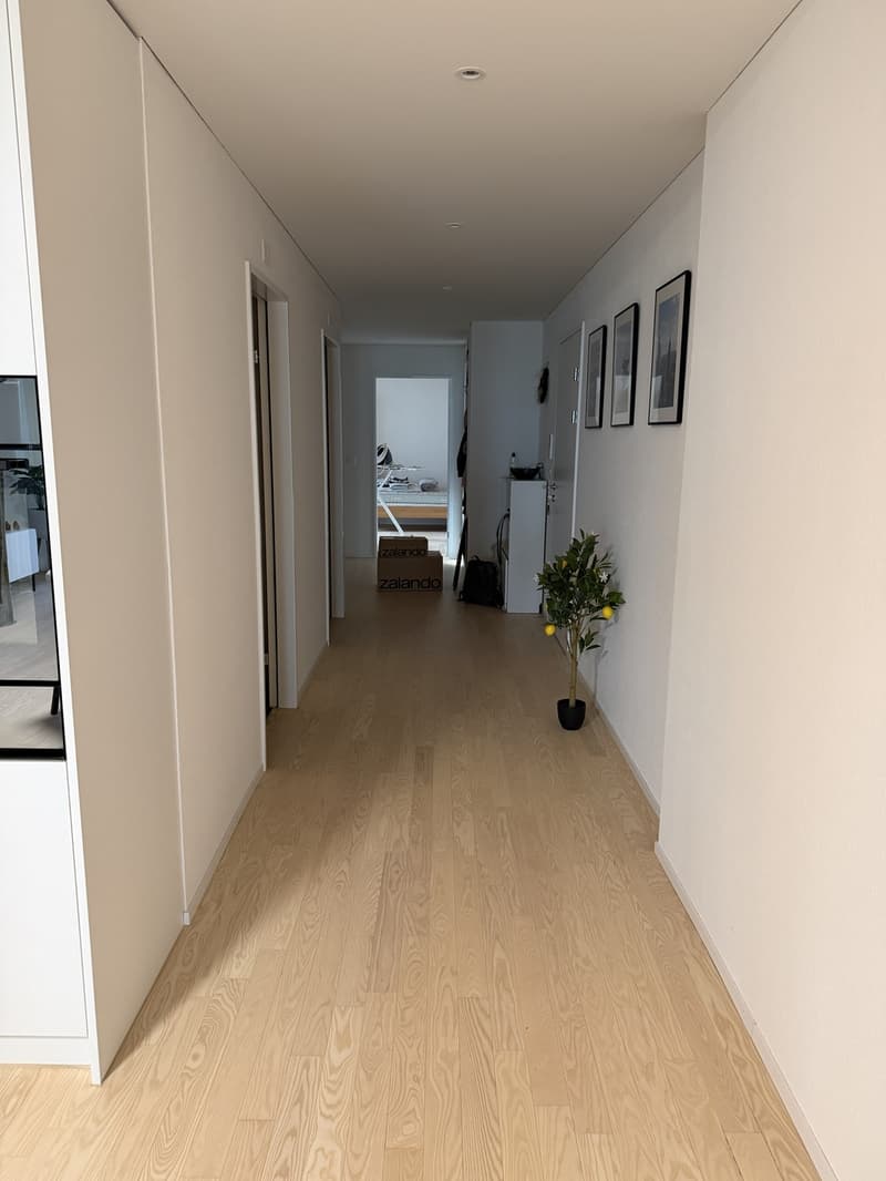 Apartment in Neuhegi - from Sept 1 (5)