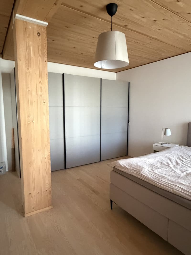 Apartment in Neuhegi - from Sept 1 (6)