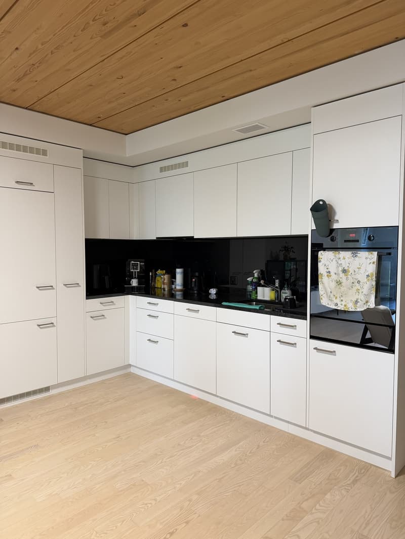 Apartment in Neuhegi - from Sept 1 (11)