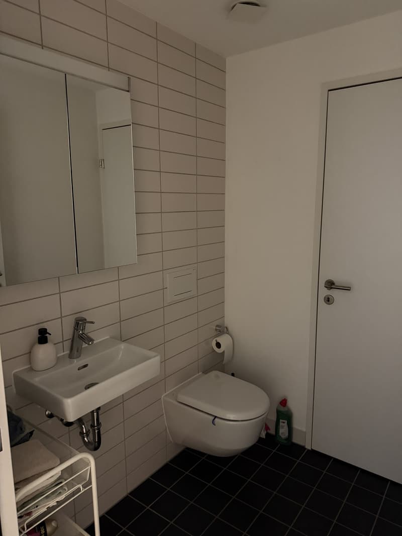 Apartment in Neuhegi - from Sept 1 (9)