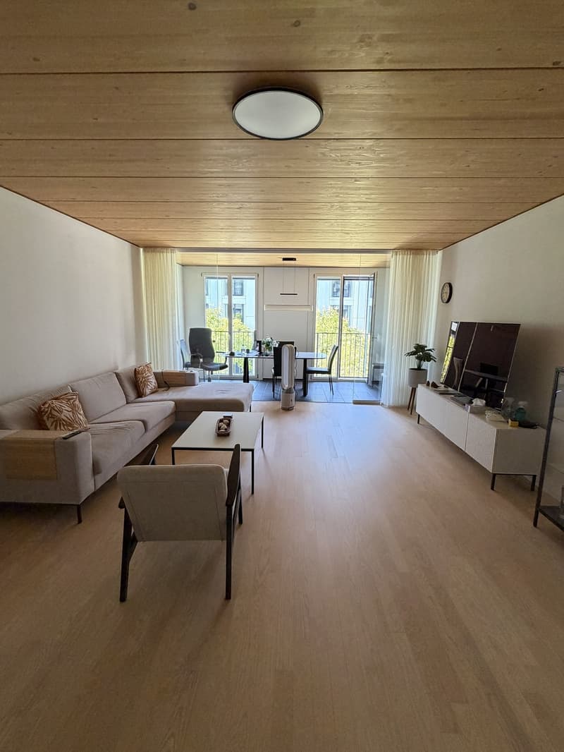 Apartment in Neuhegi - from Sept 1 (8)